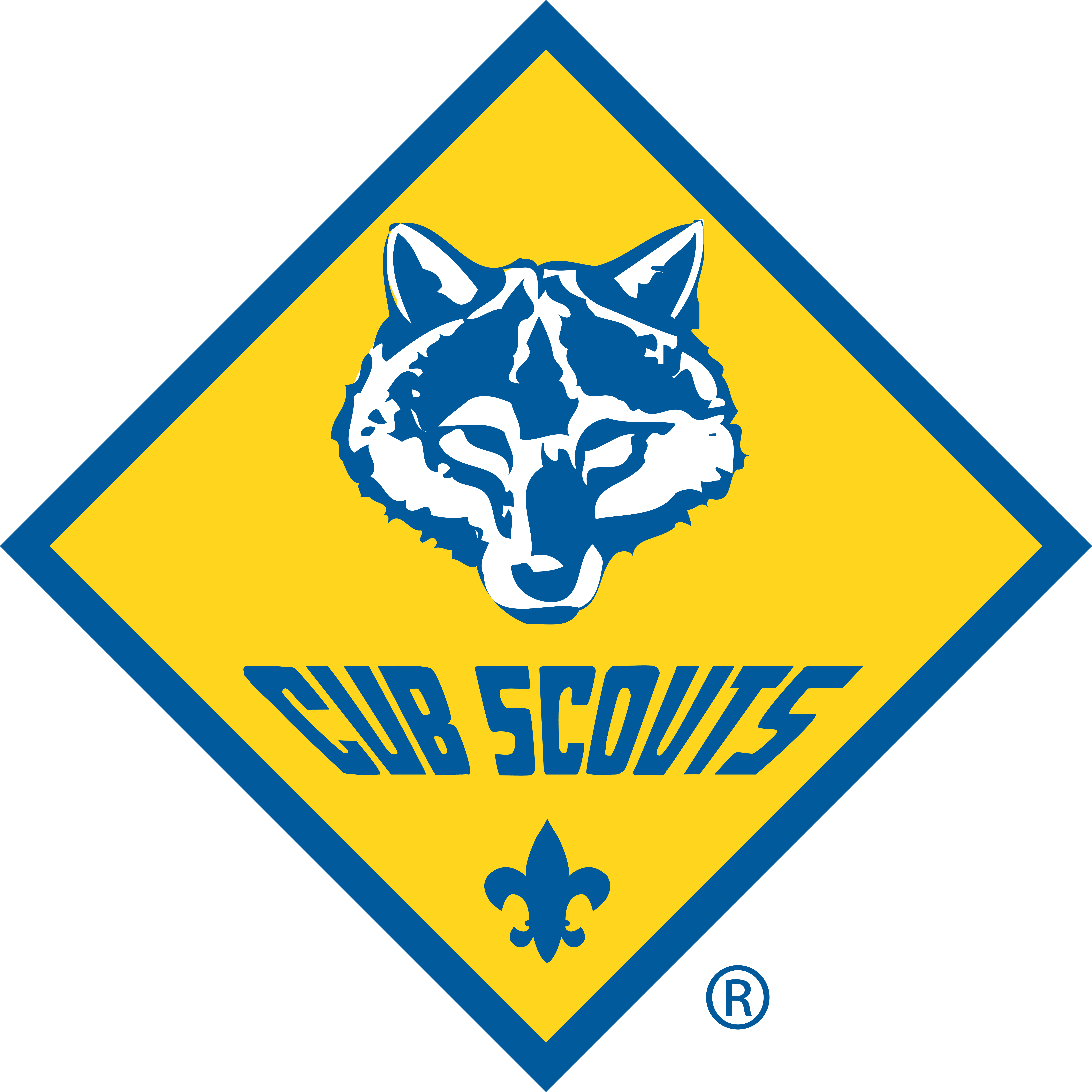 Challenger Cub Scout Pack 224 